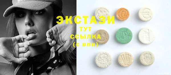 индика Киреевск