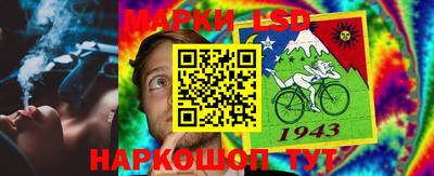 МДПВ Ярославль