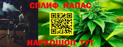 jwh Шебекино