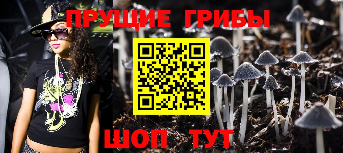 Псилоцибиновые грибы GOLDEN TEACHER Богородск