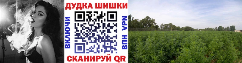 закладки  Богородск  KRAKEN как войти  Канабис тримм 